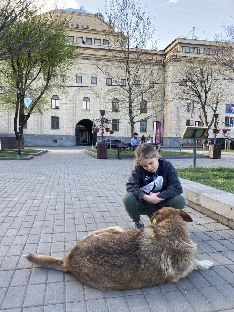 Armenien - Ein Mädchen hockt vor einem auf dem Straßenpflaster liegenden Hund