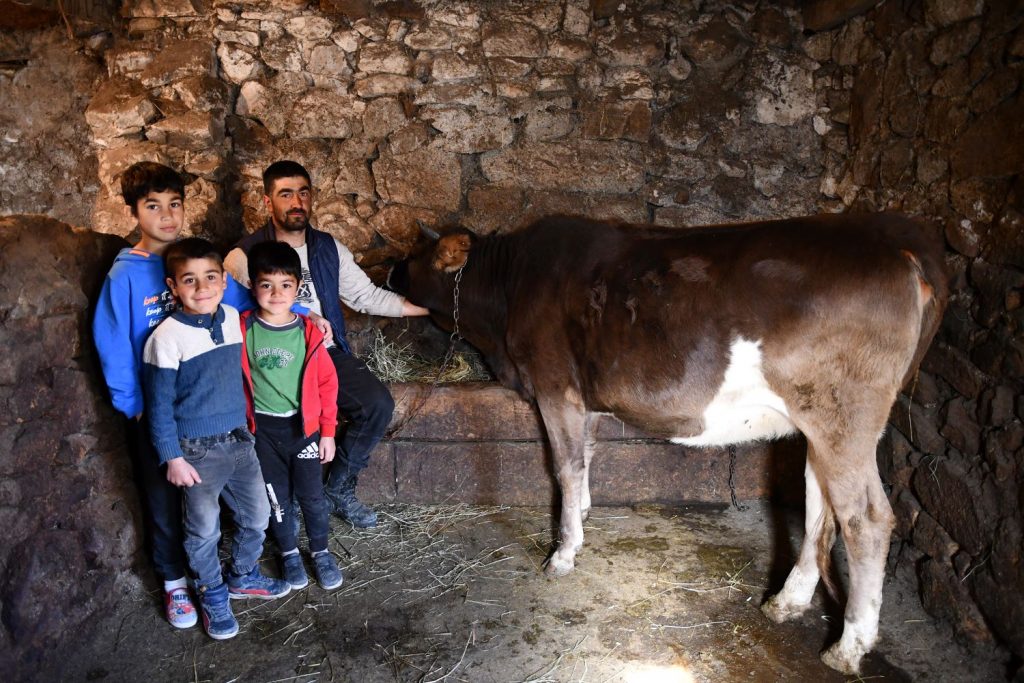 Ein Mann und drei Jungen stehen neben einer Kuh